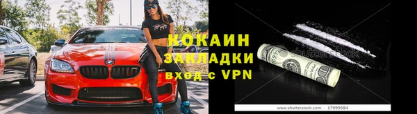 стаф Волосово