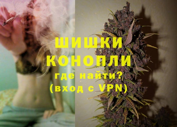 стаф Волосово