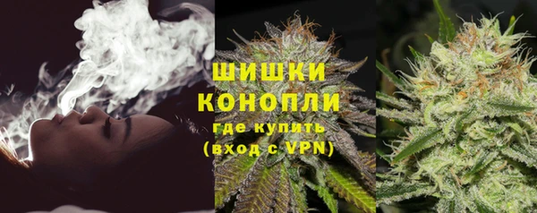 стаф Волосово