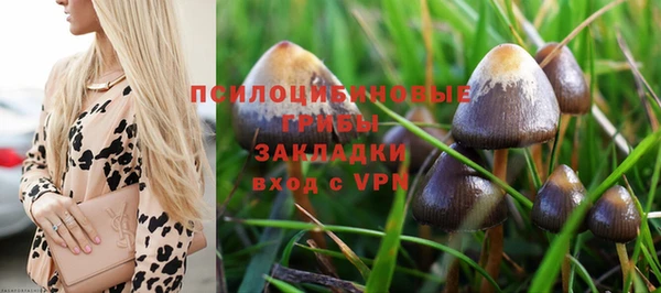 каннабис Волоколамск
